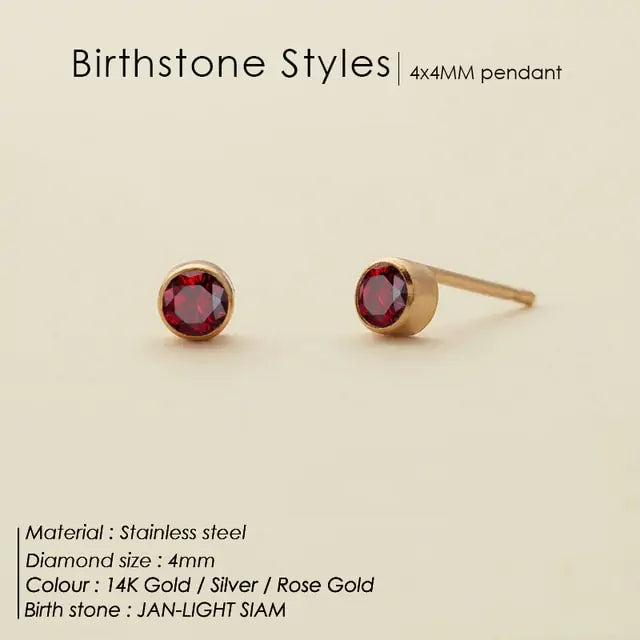 Stainless Steel Birthstone Earrings