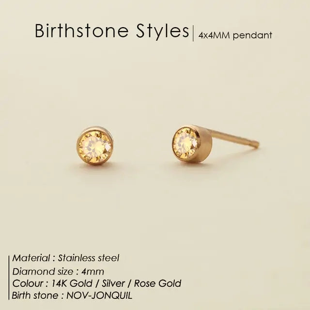 Stainless Steel Birthstone Earrings