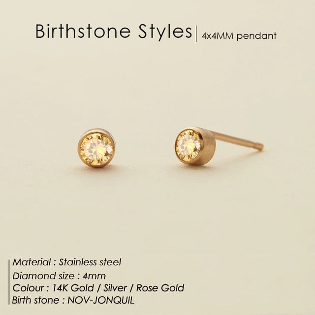 Stainless Steel Birthstone Earrings